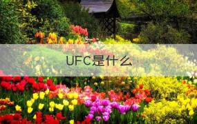 ufc是什么意思啊 UFC是什么（解答）