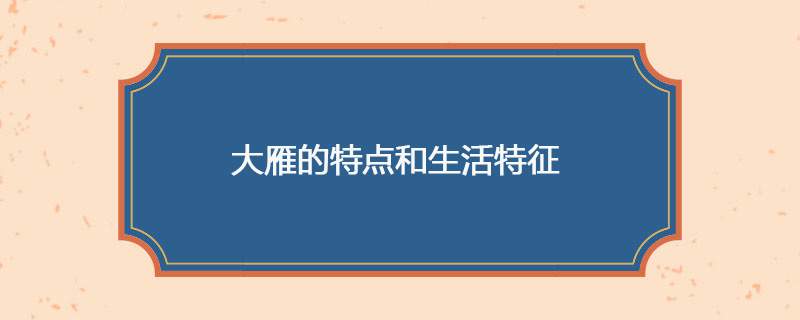 大雁的特点和生活特征