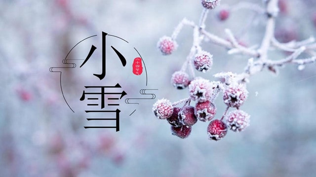 小雪节气的古诗