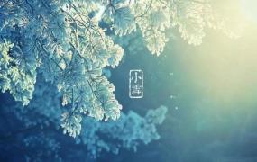 小雪节气的古诗