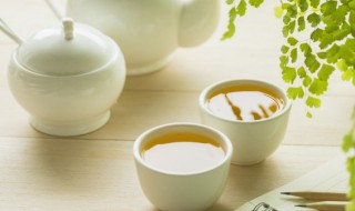 信阳毛尖茶什么季节喝好（信阳毛尖茶好不好）