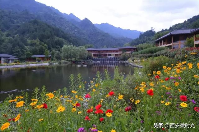 周末去哪看油菜花陕西（骑马赏花觅美食）