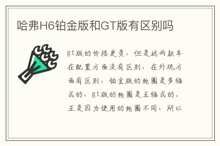 哈弗H6铂金版和GT版有区别吗