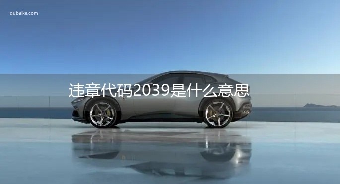 违章代码2039是什么意思