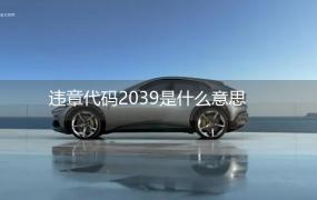 违章代码2039是什么意思