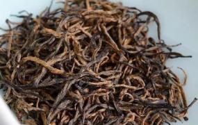 茶瓜子金茶叶的功效和特点 茶瓜子金茶叶的功效和特点是什么