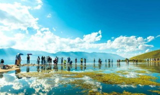 最适合去云南的旅游季节