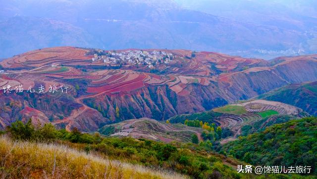 这个时候比较适合去哪旅游（想去那些景美玩着还不累的地方）