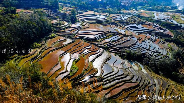 这个时候比较适合去哪旅游（想去那些景美玩着还不累的地方）