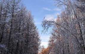 2023年呼和浩特12月会下雪吗 呼和浩特冬天什么时候下雪