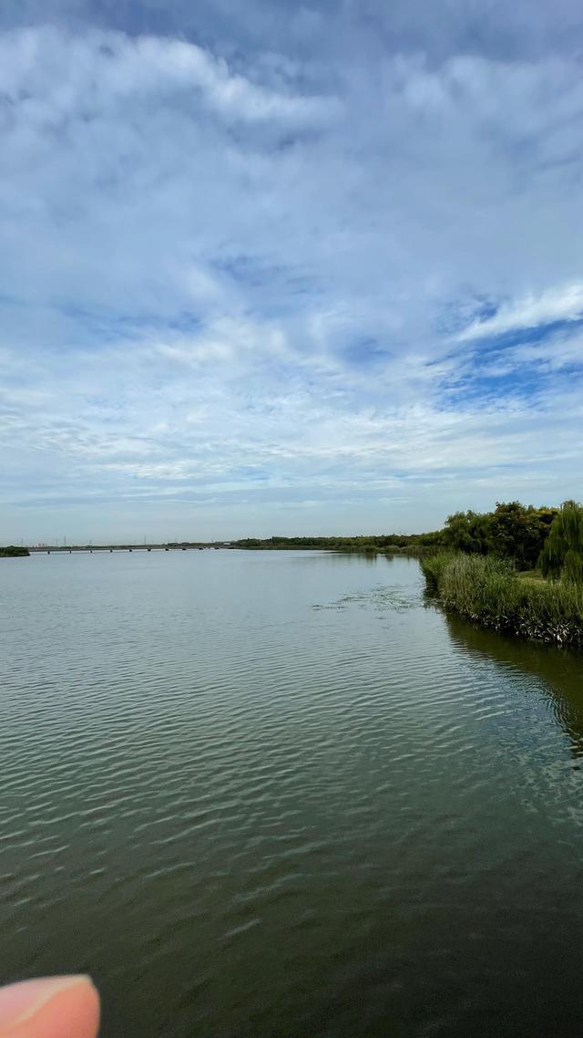 上海青岛往返1400公里全程无高速沿途城市蜻蜓点水游（上海青岛往返1400公里全程无高速沿途城市蜻蜓点水游）