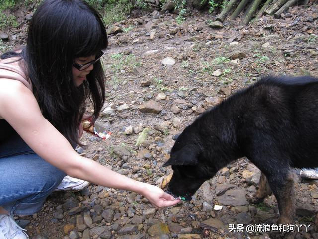 都江堰青城山自驾攻略（成都出发爬山露营）