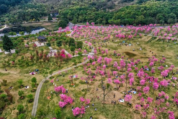 2023南宁春季赏花景点有哪些