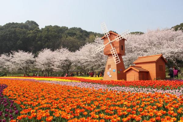 2023上方山百花节门票多少钱 附游玩时间及赏花指南