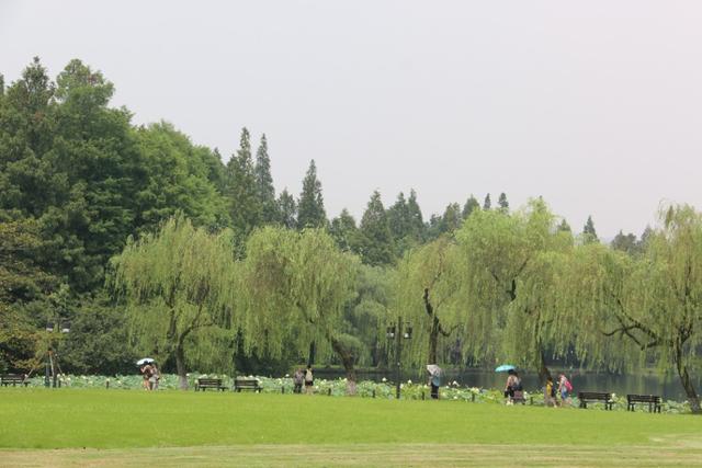 浙江杭州西湖旅游景点大全（浙江旅游西湖这些景点一定看看）