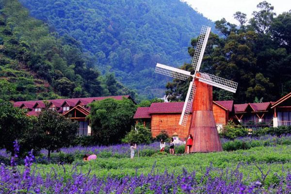 深圳周边适合情侣去的旅游胜地