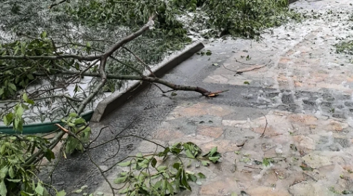 冻雨路面会结冰吗1