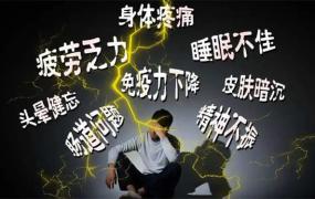 为什么年轻人身体亚健康已比较普遍 引起亚健康的原因是什么