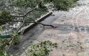 冻雨路面会结冰吗 冻雨路面如何安全驾驶