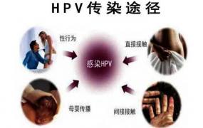 ​HPV感染要谨记哪些能转阴，HPV感染要注意事项有哪些