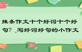 辣条作文十个好词十个好句？,写好词好句的小作文