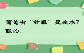 葡萄有“针眼”是注水？假的！