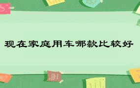 现在家庭用车哪款比较好