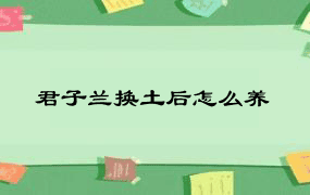 君子兰换土后怎么养