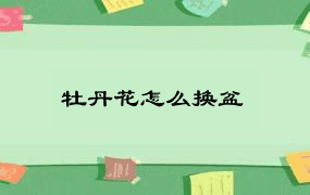 牡丹花怎么换盆