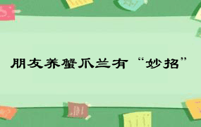 朋友养蟹爪兰有“妙招”