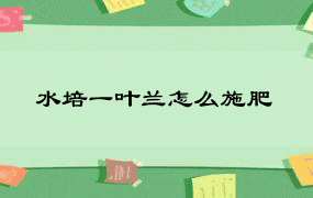 水培一叶兰怎么施肥