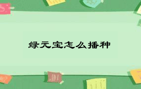 绿元宝怎么播种