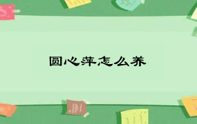 圆心萍怎么养