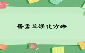 香雪兰矮化方法