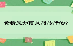 黄精是如何抗脂肪肝的?