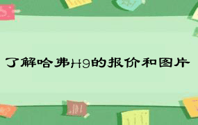 了解哈弗H9的报价和图片