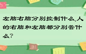 左脑右脑分别控制什么,人的右脑和左脑都分别管什么？