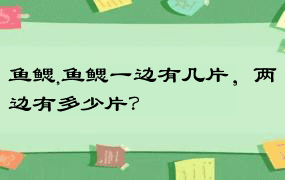 鱼鳃,鱼鳃一边有几片，两边有多少片？