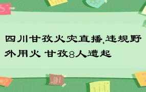 四川甘孜火灾直播,违规野外用火 甘孜8人遭起