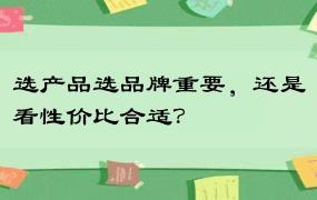 选产品选品牌重要，还是看性价比合适？