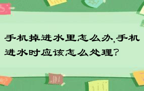 手机掉进水里怎么办,手机进水时应该怎么处理？