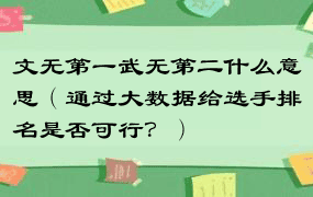 文无第一武无第二什么意思（通过大数据给选手排名是否可行？）