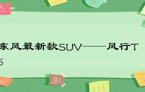 东风最新款SUV——风行T5