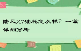 陆风X7油耗怎么样？一篇详细分析