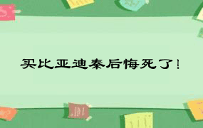 买比亚迪秦后悔死了！