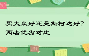 买大众好还是斯柯达好？两者优劣对比