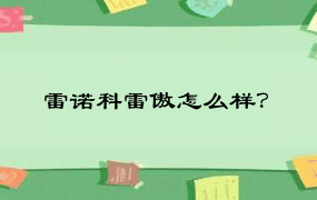 雷诺科雷傲怎么样？