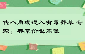 传八角或混入有毒莽草 专家：莽草价也不低