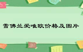 雪佛兰爱唯欧价格及图片