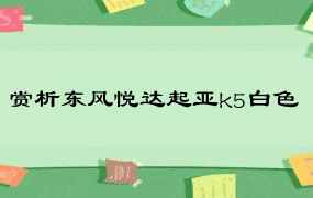 赏析东风悦达起亚k5白色